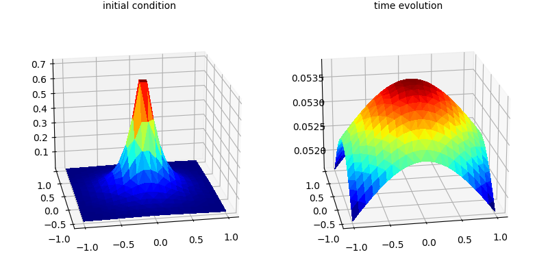 initial condition, time evolution